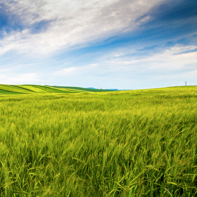 countryside-field-sunny-day-countryside